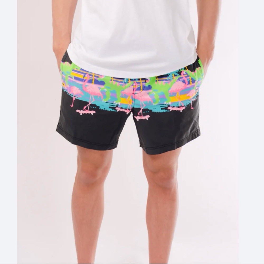 Party Pants  Dinosaur Swim Shorts